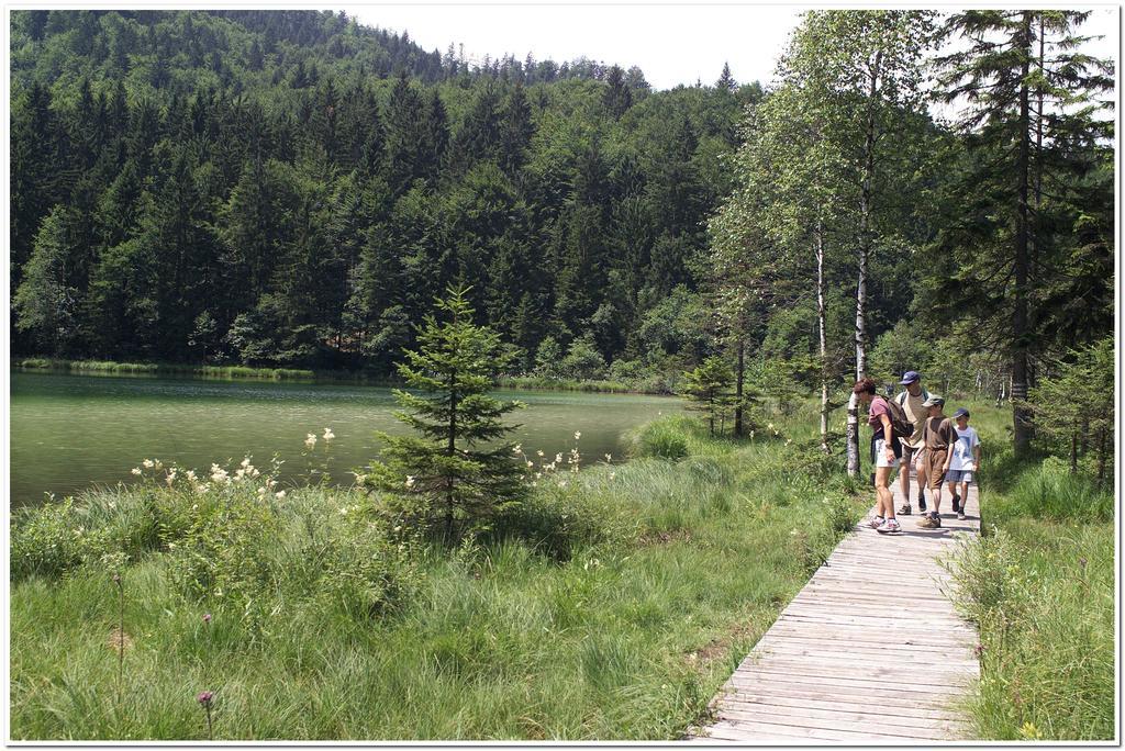 Aktivhotel & Gasthof Schmelz Ihr Urlaubs Hotel In Inzell Mit Wellness Hallenbad, Alpensauna & Dampfbad 외부 사진